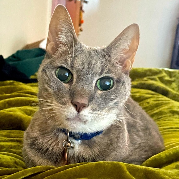 Meet your Posher, Becka - Picture 1 of 1